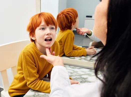 Perturbações da voz