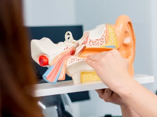 Desvios na articulação temporomandibular (ATM)